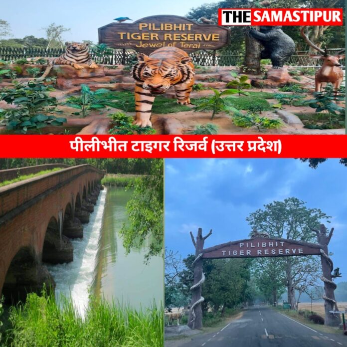 History of Pilibhit tiger reserve Uttar Pradesh